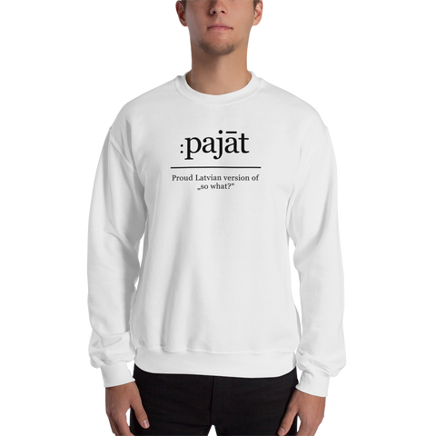 Mens Sweatshirt "Pajat"